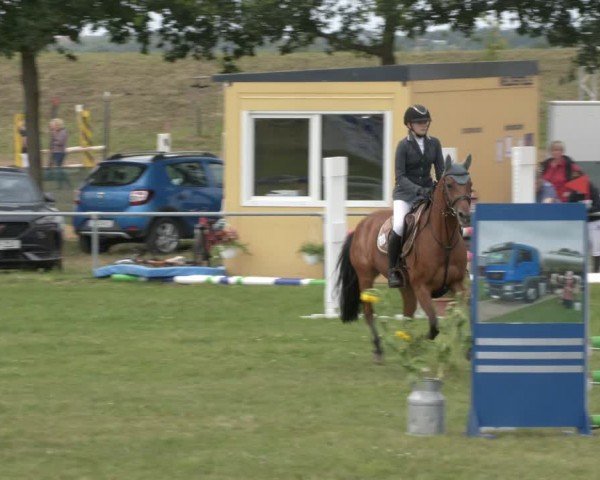 Reitturnier Ihleburg 2024