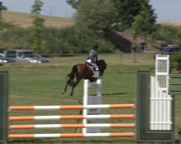 Reitturnier Ihleburg 2024