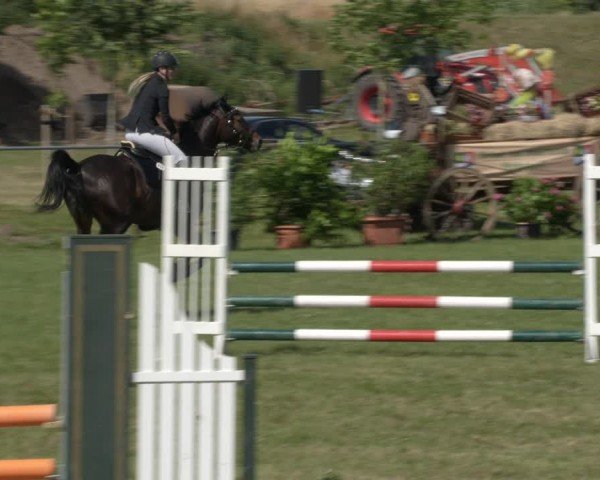 Reitturnier Ihleburg 2024