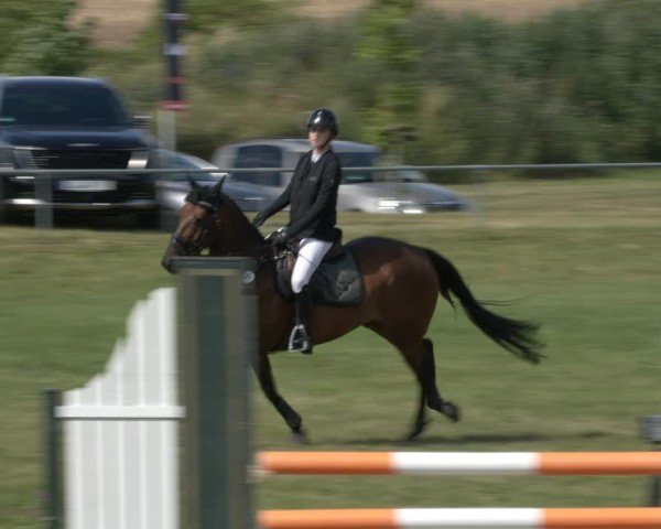 Reitturnier Ihleburg 2024