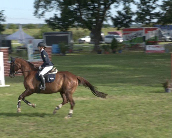 Reitturnier Ihleburg 2024