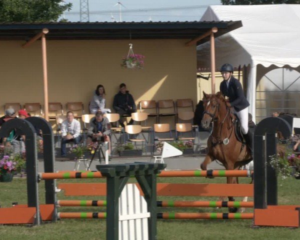 Reitturnier Ihleburg 2024