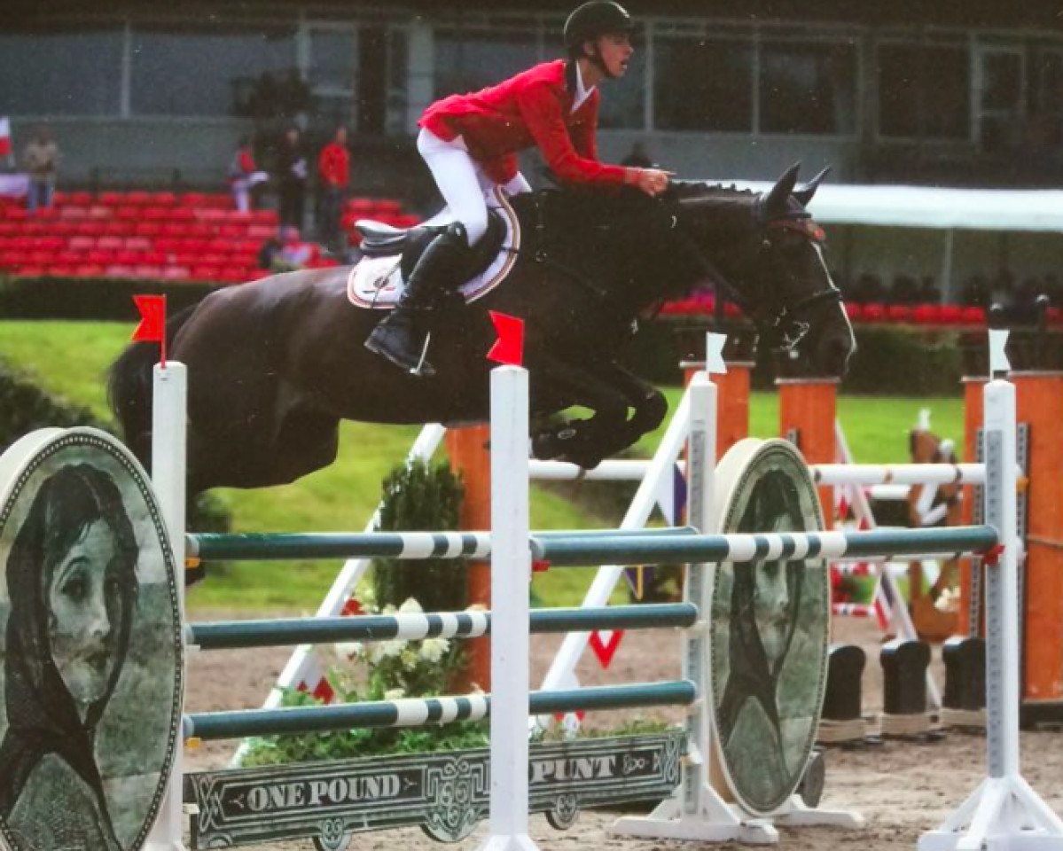 Zuchtstute Illusion (Belgisches Warmblut, 2008, von Quadrillo)