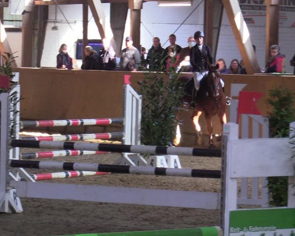 Reitturnier Steinheim 2021