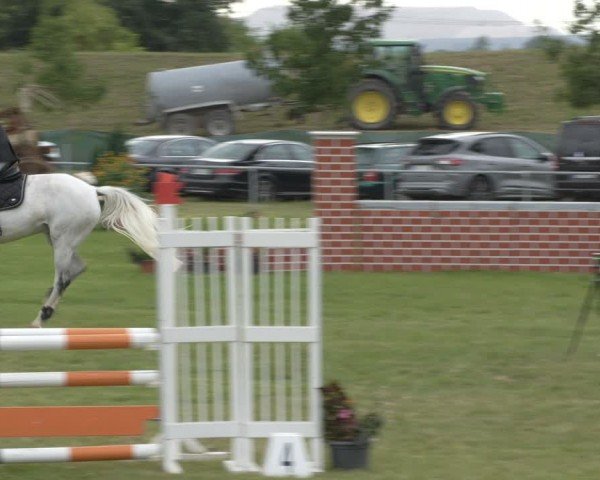 Reitturnier Ihleburg 2024