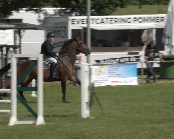 Reitturnier Ihleburg 2024