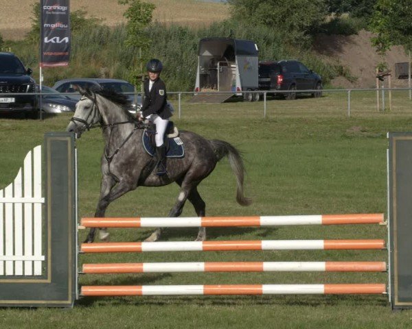 Reitturnier Ihleburg 2024