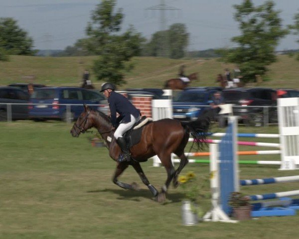 Reitturnier Ihleburg 2024