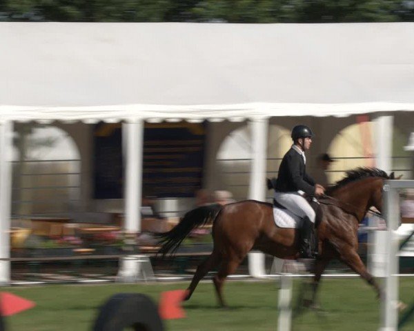 Reitturnier Ihleburg 2024