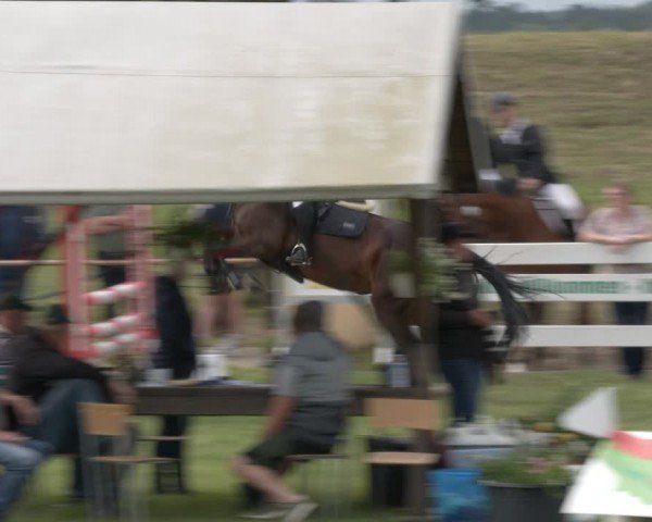 Reitturnier Ihleburg 2024