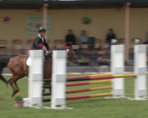 Reitturnier Ihleburg 2024