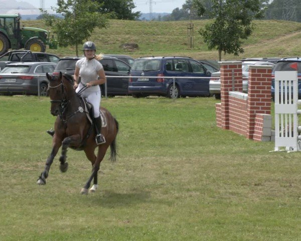 Reitturnier Ihleburg 2024