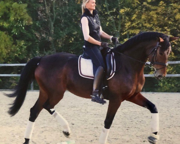 broodmare Alexia 25 (KWPN (Royal Dutch Sporthorse), 2005, from Oo-Seven)