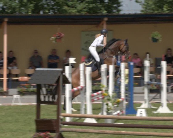 Reitturnier Ihleburg 2024