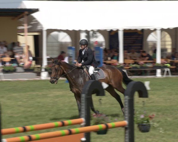 Reitturnier Ihleburg 2024