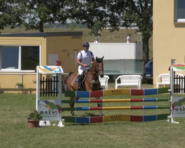 Reitturnier Ihleburg 2024
