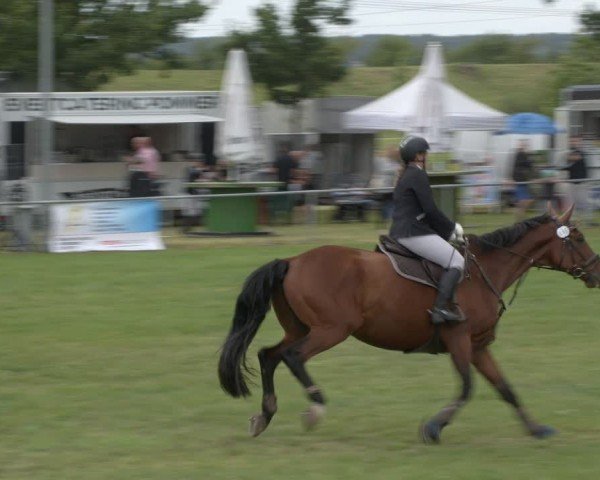 Reitturnier Ihleburg 2024