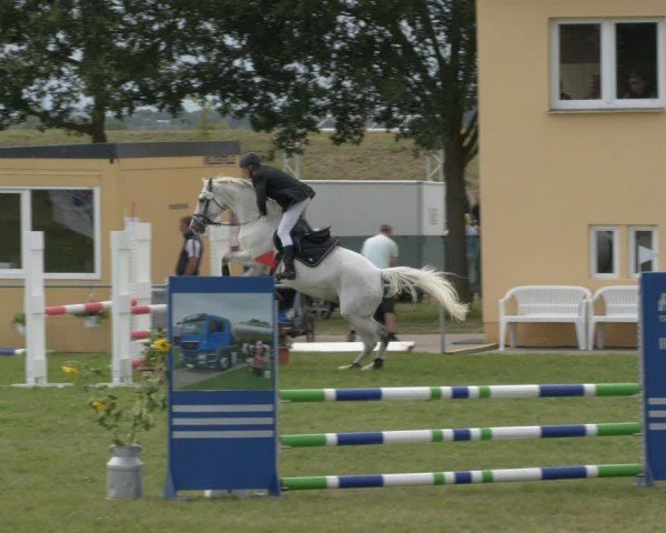 Reitturnier Ihleburg 2024