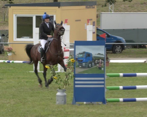 Reitturnier Ihleburg 2024