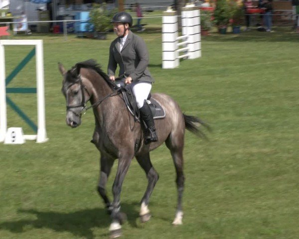 Reitturnier Ihleburg 2024