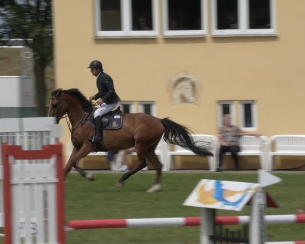 Reitturnier Ihleburg 2024