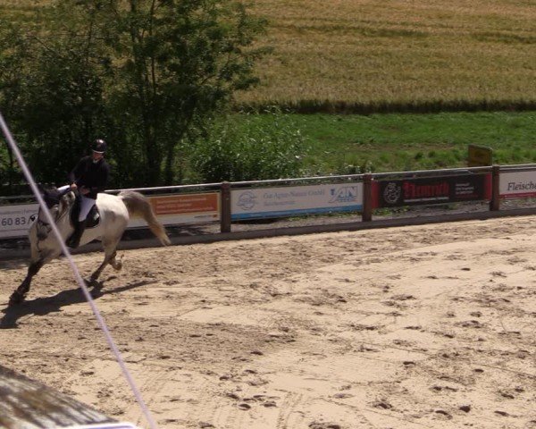 Reitturnier Uder, Reitanlage Kobold 2024