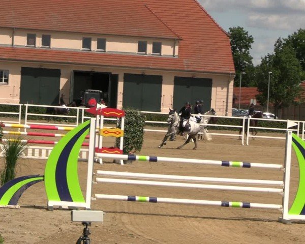 Reitturnier Neustadt/Dosse 2024