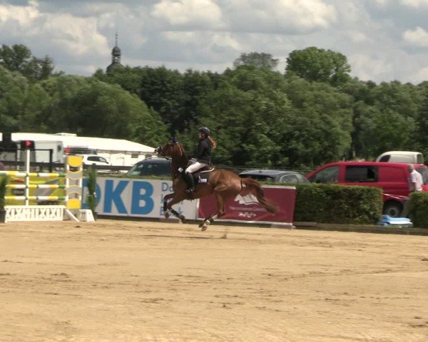Reitturnier Neustadt/Dosse 2024
