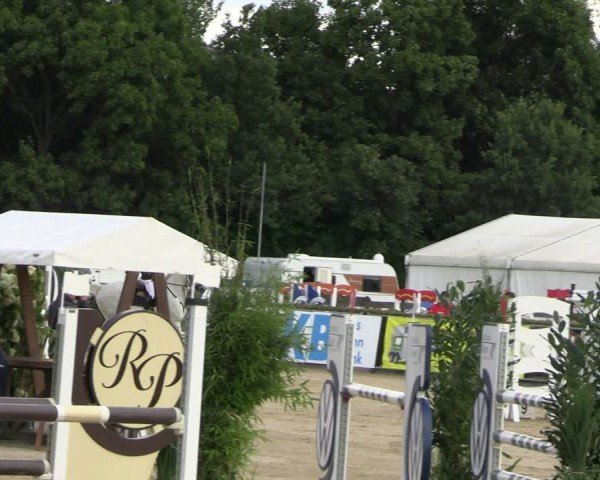 Reitturnier Neustadt/Dosse 2024