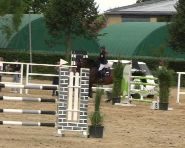Reitturnier Neustadt/Dosse 2024