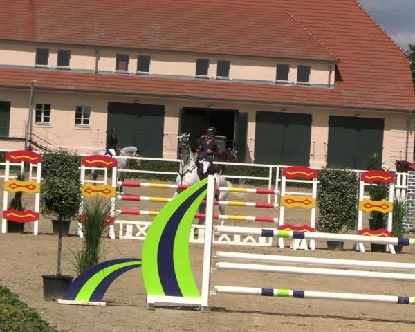 Reitturnier Neustadt/Dosse 2024
