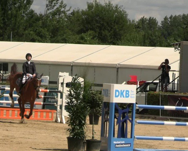 Reitturnier Neustadt/Dosse 2024