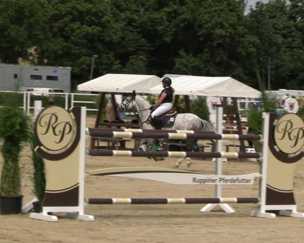 Reitturnier Neustadt/Dosse 2024