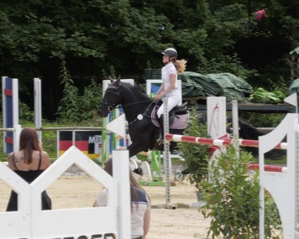 Reitturnier Heddesheim 2024