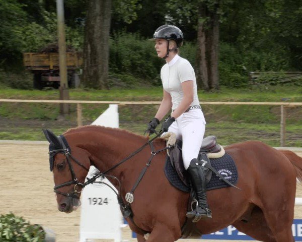 Reitturnier Heddesheim 2024