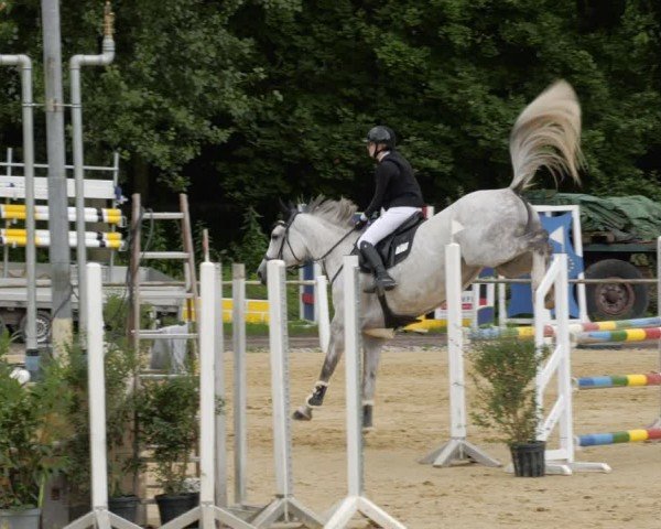 Reitturnier Heddesheim 2024