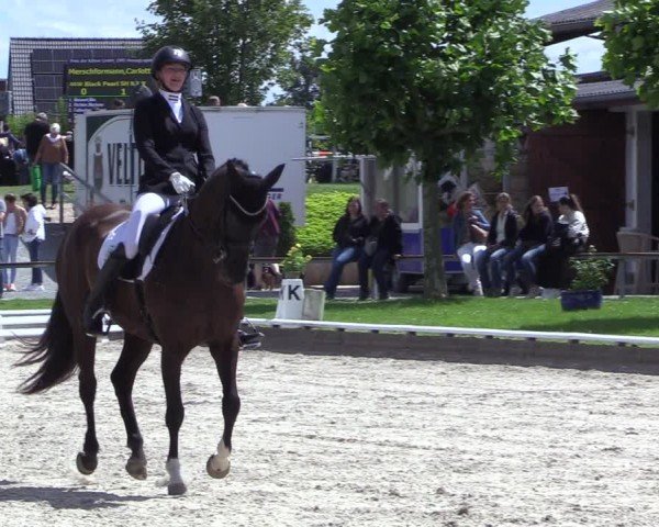 Reitturnier Fröndenberg 2024