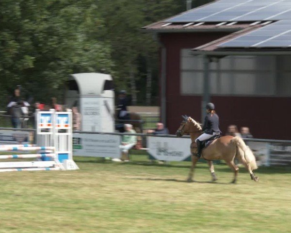 Reitturnier Delbrück-Ostenland 2024