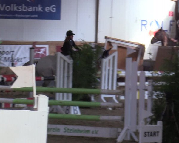 Reitturnier Steinheim 2021