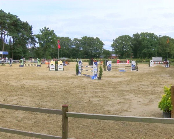 Reitturnier Metelen 2024