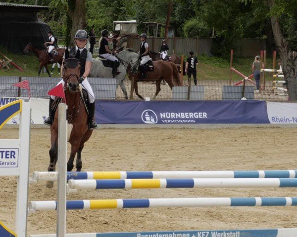 Reitturnier Heddesheim 2024