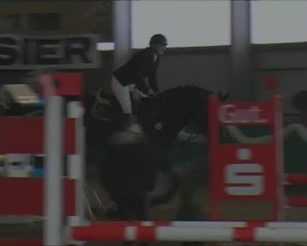 PLS Arnsberg-Vosswinkel 2013