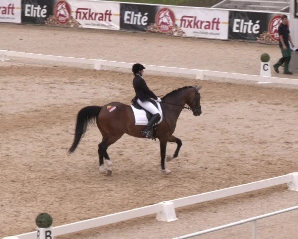 Dressurturnier Stadl Paura 2024