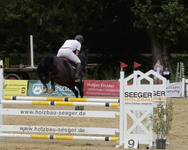 Reitturnier Heddesheim 2024