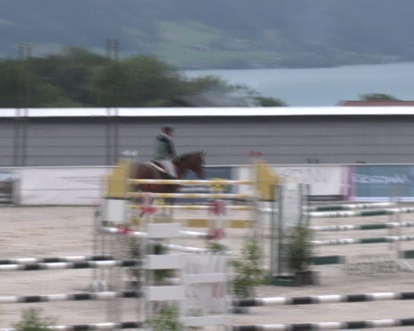Springturnier Seewalchen 2024