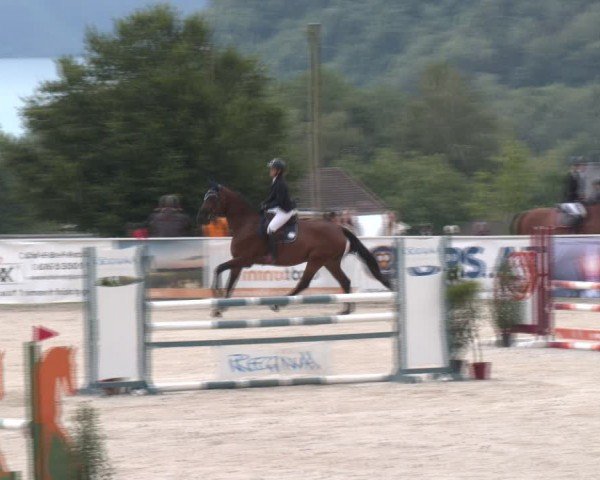 Springturnier Seewalchen 2024