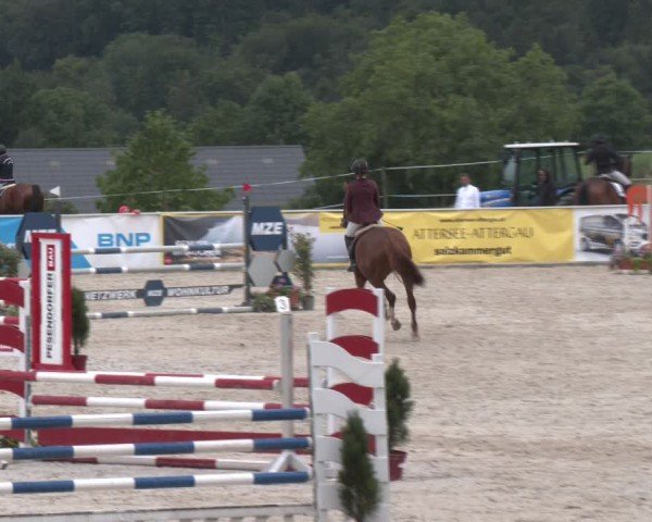 Springturnier Seewalchen 2024