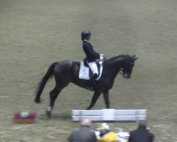 Reitturnier Herzebrock-Rheda 2021