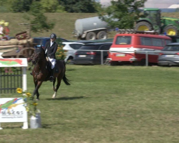 Reitturnier Ihleburg 2024