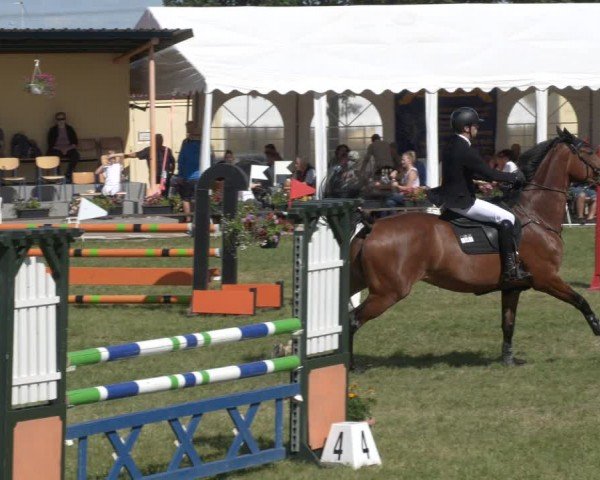 Reitturnier Ihleburg 2024